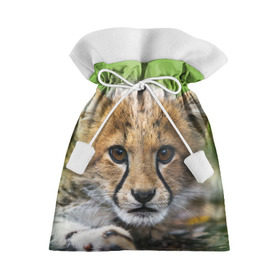 Подарочный 3D мешок с принтом Котёнок гепарда в Петрозаводске, 100% полиэстер | Размер: 29*39 см | Тематика изображения на принте: гепард | дикая кошка | котёнок | кошка | лев | природа | тигр | хищник | ягуар