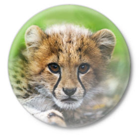 Значок с принтом Котёнок гепарда в Петрозаводске,  металл | круглая форма, металлическая застежка в виде булавки | Тематика изображения на принте: гепард | дикая кошка | котёнок | кошка | лев | природа | тигр | хищник | ягуар