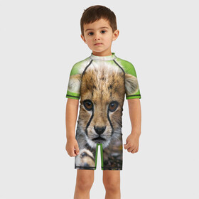 Детский купальный костюм 3D с принтом Котёнок гепарда в Петрозаводске, Полиэстер 85%, Спандекс 15% | застежка на молнии на спине | гепард | дикая кошка | котёнок | кошка | лев | природа | тигр | хищник | ягуар