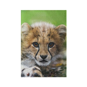 Обложка для паспорта матовая кожа с принтом Котёнок гепарда в Петрозаводске, натуральная матовая кожа | размер 19,3 х 13,7 см; прозрачные пластиковые крепления | гепард | дикая кошка | котёнок | кошка | лев | природа | тигр | хищник | ягуар