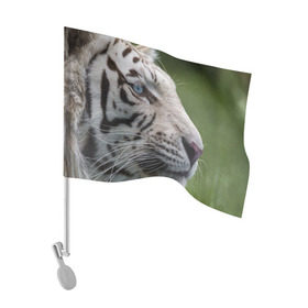Флаг для автомобиля с принтом Белый тигр в Петрозаводске, 100% полиэстер | Размер: 30*21 см | абессинкая | домашние | животные | кот | котенок | кошка | порода | сиамская | тигр | хищник