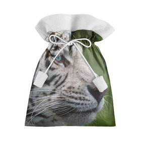 Подарочный 3D мешок с принтом Белый тигр в Петрозаводске, 100% полиэстер | Размер: 29*39 см | абессинкая | домашние | животные | кот | котенок | кошка | порода | сиамская | тигр | хищник