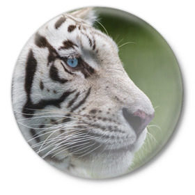 Значок с принтом Белый тигр в Петрозаводске,  металл | круглая форма, металлическая застежка в виде булавки | Тематика изображения на принте: абессинкая | домашние | животные | кот | котенок | кошка | порода | сиамская | тигр | хищник
