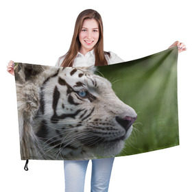 Флаг 3D с принтом Белый тигр в Петрозаводске, 100% полиэстер | плотность ткани — 95 г/м2, размер — 67 х 109 см. Принт наносится с одной стороны | абессинкая | домашние | животные | кот | котенок | кошка | порода | сиамская | тигр | хищник