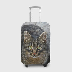 Чехол для чемодана 3D с принтом Серый котик в Петрозаводске, 86% полиэфир, 14% спандекс | двустороннее нанесение принта, прорези для ручек и колес | Тематика изображения на принте: 