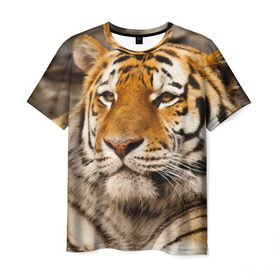 Мужская футболка 3D с принтом Тигр в Петрозаводске, 100% полиэфир | прямой крой, круглый вырез горловины, длина до линии бедер | амурский | животные | киса | кот | котенок | кошка | пума | рысь | серый | тигр | хищник