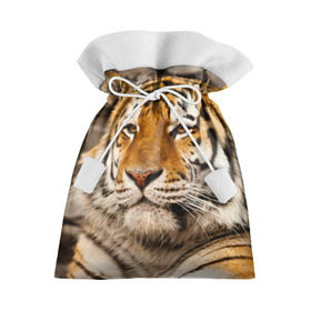Подарочный 3D мешок с принтом Тигр в Петрозаводске, 100% полиэстер | Размер: 29*39 см | Тематика изображения на принте: амурский | животные | киса | кот | котенок | кошка | пума | рысь | серый | тигр | хищник