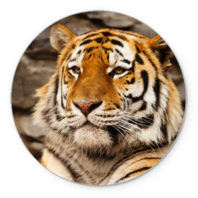 Коврик круглый с принтом Тигр в Петрозаводске, резина и полиэстер | круглая форма, изображение наносится на всю лицевую часть | Тематика изображения на принте: амурский | животные | киса | кот | котенок | кошка | пума | рысь | серый | тигр | хищник