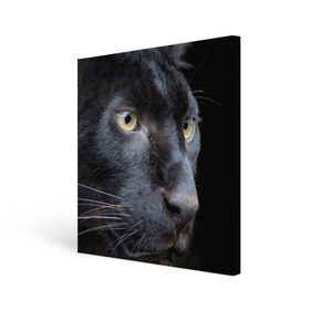 Холст квадратный с принтом Черная пантера в Петрозаводске, 100% ПВХ |  | животные | кис | киска | кот | котенок | котик | кошечка | кошка | пантера | рысь | тигр | хищник