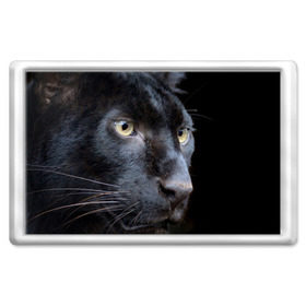 Магнит 45*70 с принтом Черная пантера в Петрозаводске, Пластик | Размер: 78*52 мм; Размер печати: 70*45 | животные | кис | киска | кот | котенок | котик | кошечка | кошка | пантера | рысь | тигр | хищник