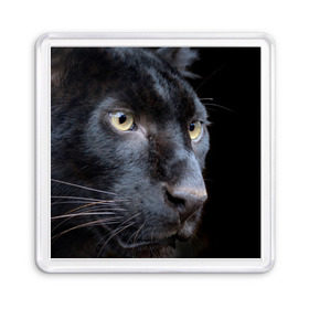 Магнит 55*55 с принтом Черная пантера в Петрозаводске, Пластик | Размер: 65*65 мм; Размер печати: 55*55 мм | животные | кис | киска | кот | котенок | котик | кошечка | кошка | пантера | рысь | тигр | хищник