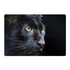Магнитный плакат 3Х2 с принтом Черная пантера в Петрозаводске, Полимерный материал с магнитным слоем | 6 деталей размером 9*9 см | животные | кис | киска | кот | котенок | котик | кошечка | кошка | пантера | рысь | тигр | хищник