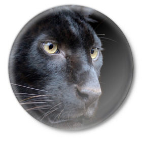 Значок с принтом Черная пантера в Петрозаводске,  металл | круглая форма, металлическая застежка в виде булавки | животные | кис | киска | кот | котенок | котик | кошечка | кошка | пантера | рысь | тигр | хищник