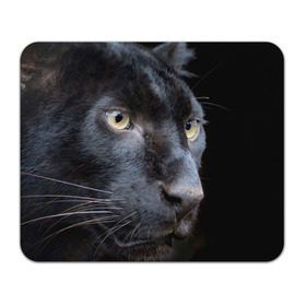 Коврик прямоугольный с принтом Черная пантера в Петрозаводске, натуральный каучук | размер 230 х 185 мм; запечатка лицевой стороны | Тематика изображения на принте: животные | кис | киска | кот | котенок | котик | кошечка | кошка | пантера | рысь | тигр | хищник