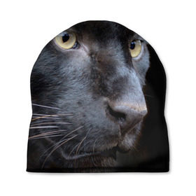 Шапка 3D с принтом Черная пантера в Петрозаводске, 100% полиэстер | универсальный размер, печать по всей поверхности изделия | животные | кис | киска | кот | котенок | котик | кошечка | кошка | пантера | рысь | тигр | хищник