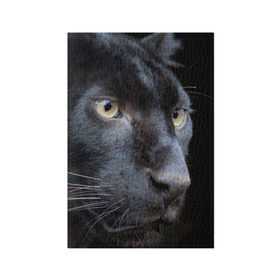 Обложка для паспорта матовая кожа с принтом Черная пантера в Петрозаводске, натуральная матовая кожа | размер 19,3 х 13,7 см; прозрачные пластиковые крепления | животные | кис | киска | кот | котенок | котик | кошечка | кошка | пантера | рысь | тигр | хищник