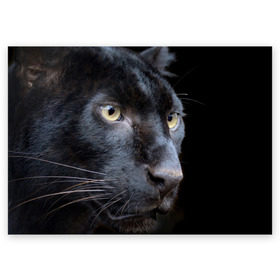 Поздравительная открытка с принтом Черная пантера в Петрозаводске, 100% бумага | плотность бумаги 280 г/м2, матовая, на обратной стороне линовка и место для марки
 | животные | кис | киска | кот | котенок | котик | кошечка | кошка | пантера | рысь | тигр | хищник