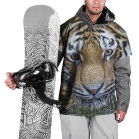 Накидка на куртку 3D с принтом Тигр в Петрозаводске, 100% полиэстер |  | животные | кошка | лев | тигр | тигренок | тигрица | хищник