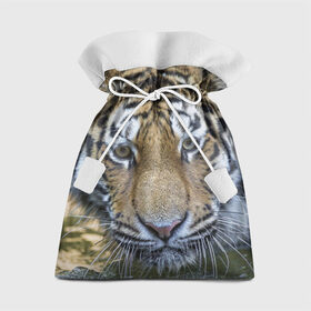 Подарочный 3D мешок с принтом Тигр в Петрозаводске, 100% полиэстер | Размер: 29*39 см | Тематика изображения на принте: животные | кошка | лев | тигр | тигренок | тигрица | хищник