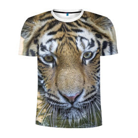 Мужская футболка 3D спортивная с принтом Тигр в Петрозаводске, 100% полиэстер с улучшенными характеристиками | приталенный силуэт, круглая горловина, широкие плечи, сужается к линии бедра | животные | кошка | лев | тигр | тигренок | тигрица | хищник