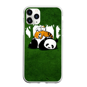 Чехол для iPhone 11 Pro матовый с принтом Милая панда в Петрозаводске, Силикон |  | Тематика изображения на принте: большая | джунгли | енот | зайка | милая | панда | пушистая