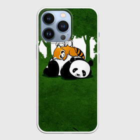 Чехол для iPhone 13 Pro с принтом Милая панда в Петрозаводске,  |  | Тематика изображения на принте: большая | джунгли | енот | зайка | милая | панда | пушистая