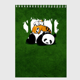 Скетчбук с принтом Милая панда в Петрозаводске, 100% бумага
 | 48 листов, плотность листов — 100 г/м2, плотность картонной обложки — 250 г/м2. Листы скреплены сверху удобной пружинной спиралью | большая | джунгли | енот | зайка | милая | панда | пушистая