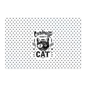 Магнитный плакат 3Х2 с принтом Curiosity Cat в Петрозаводске, Полимерный материал с магнитным слоем | 6 деталей размером 9*9 см | animal | beast | cat | feline | gangsta | kill | king | kitty | meow | nature | гангстер | животное | зверь | король | кот | котенок | котик | кошка | мяу | природа