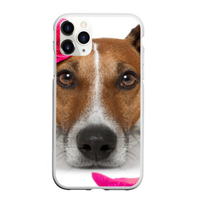 Чехол для iPhone 11 Pro матовый с принтом Джек рассел с розой в Петрозаводске, Силикон |  | волкодав | дворняжка | джек | джек рассел | домашние животные | любимец | мопс | овчарка | пес | песик | питомец | рассел | сенбернар | собака | собачка