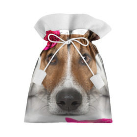 Подарочный 3D мешок с принтом Джек рассел с розой в Петрозаводске, 100% полиэстер | Размер: 29*39 см | волкодав | дворняжка | джек | джек рассел | домашние животные | любимец | мопс | овчарка | пес | песик | питомец | рассел | сенбернар | собака | собачка