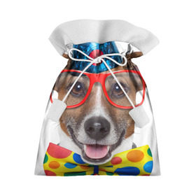 Подарочный 3D мешок с принтом Джек рассел - клоун в Петрозаводске, 100% полиэстер | Размер: 29*39 см | волкодав | дворняжка | джек | джек рассел | домашние животные | любимец | мопс | овчарка | пес | песик | питомец | рассел | сенбернар | собака | собачка