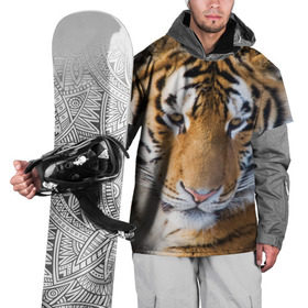 Накидка на куртку 3D с принтом Тигр в Петрозаводске, 100% полиэстер |  | амурский | животные | киса | кот | котенок | кошка | пума | рысь | серый | тигр | хищник