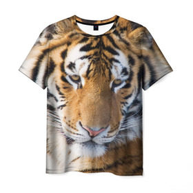 Мужская футболка 3D с принтом Тигр в Петрозаводске, 100% полиэфир | прямой крой, круглый вырез горловины, длина до линии бедер | амурский | животные | киса | кот | котенок | кошка | пума | рысь | серый | тигр | хищник