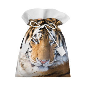 Подарочный 3D мешок с принтом Тигр в Петрозаводске, 100% полиэстер | Размер: 29*39 см | амурский | животные | киса | кот | котенок | кошка | пума | рысь | серый | тигр | хищник