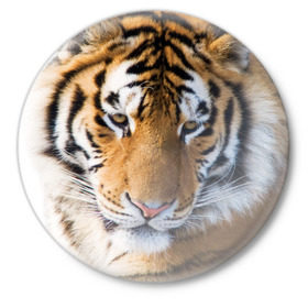 Значок с принтом Тигр в Петрозаводске,  металл | круглая форма, металлическая застежка в виде булавки | Тематика изображения на принте: амурский | животные | киса | кот | котенок | кошка | пума | рысь | серый | тигр | хищник