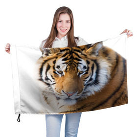 Флаг 3D с принтом Тигр в Петрозаводске, 100% полиэстер | плотность ткани — 95 г/м2, размер — 67 х 109 см. Принт наносится с одной стороны | амурский | животные | киса | кот | котенок | кошка | пума | рысь | серый | тигр | хищник
