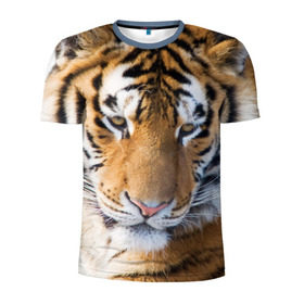 Мужская футболка 3D спортивная с принтом Тигр в Петрозаводске, 100% полиэстер с улучшенными характеристиками | приталенный силуэт, круглая горловина, широкие плечи, сужается к линии бедра | амурский | животные | киса | кот | котенок | кошка | пума | рысь | серый | тигр | хищник
