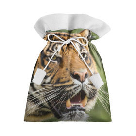 Подарочный 3D мешок с принтом Тигр в Петрозаводске, 100% полиэстер | Размер: 29*39 см | 