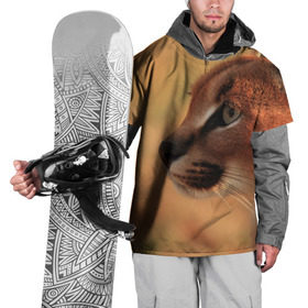 Накидка на куртку 3D с принтом Рысь в Петрозаводске, 100% полиэстер |  | Тематика изображения на принте: амурский | животные | киса | кот | котенок | кошка | пума | рысь | серый | тигр | хищник