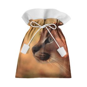 Подарочный 3D мешок с принтом Рысь в Петрозаводске, 100% полиэстер | Размер: 29*39 см | Тематика изображения на принте: амурский | животные | киса | кот | котенок | кошка | пума | рысь | серый | тигр | хищник