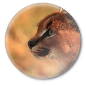 Значок с принтом Рысь в Петрозаводске,  металл | круглая форма, металлическая застежка в виде булавки | амурский | животные | киса | кот | котенок | кошка | пума | рысь | серый | тигр | хищник
