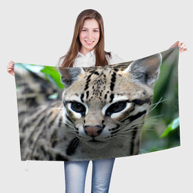 Флаг 3D с принтом Дикая кошка в Петрозаводске, 100% полиэстер | плотность ткани — 95 г/м2, размер — 67 х 109 см. Принт наносится с одной стороны | амурский | животные | киса | кот | котенок | кошка | лев | львица | пума | рысь | серый | тигр | хищник