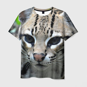 Мужская футболка 3D с принтом Дикая кошка в Петрозаводске, 100% полиэфир | прямой крой, круглый вырез горловины, длина до линии бедер | амурский | животные | киса | кот | котенок | кошка | лев | львица | пума | рысь | серый | тигр | хищник