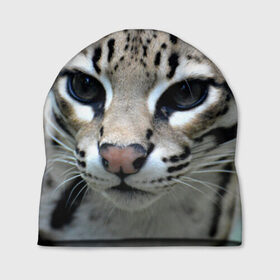 Шапка 3D с принтом Дикая кошка в Петрозаводске, 100% полиэстер | универсальный размер, печать по всей поверхности изделия | амурский | животные | киса | кот | котенок | кошка | лев | львица | пума | рысь | серый | тигр | хищник