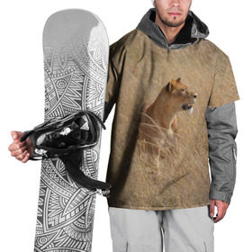 Накидка на куртку 3D с принтом Львица в траве в Петрозаводске, 100% полиэстер |  | Тематика изображения на принте: амурский | животные | киса | кот | котенок | кошка | лев | львица | пума | рысь | серый | тигр | хищник
