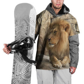 Накидка на куртку 3D с принтом Лев в Петрозаводске, 100% полиэстер |  | амурский | животные | киса | кот | котенок | кошка | лев | львица | пума | рысь | серый | тигр | хищник