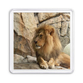 Магнит 55*55 с принтом Лев в Петрозаводске, Пластик | Размер: 65*65 мм; Размер печати: 55*55 мм | амурский | животные | киса | кот | котенок | кошка | лев | львица | пума | рысь | серый | тигр | хищник