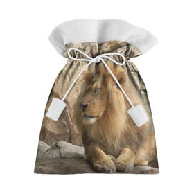 Подарочный 3D мешок с принтом Лев в Петрозаводске, 100% полиэстер | Размер: 29*39 см | амурский | животные | киса | кот | котенок | кошка | лев | львица | пума | рысь | серый | тигр | хищник