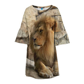 Детское платье 3D с принтом Лев в Петрозаводске, 100% полиэстер | прямой силуэт, чуть расширенный к низу. Круглая горловина, на рукавах — воланы | амурский | животные | киса | кот | котенок | кошка | лев | львица | пума | рысь | серый | тигр | хищник