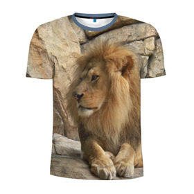 Мужская футболка 3D спортивная с принтом Лев в Петрозаводске, 100% полиэстер с улучшенными характеристиками | приталенный силуэт, круглая горловина, широкие плечи, сужается к линии бедра | амурский | животные | киса | кот | котенок | кошка | лев | львица | пума | рысь | серый | тигр | хищник